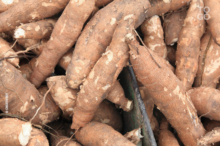 Transformation Du Manioc R Publique Togolaise